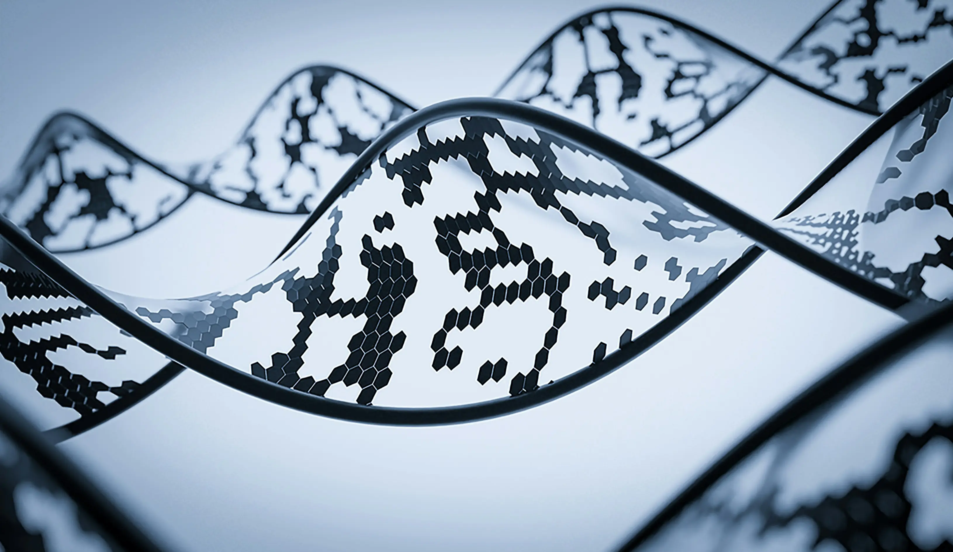 Scientific Workspace